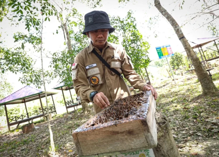 CSR Pertamina EP Sangatta: Perencanaan yang Matang Memberi Dampak Signifikan
