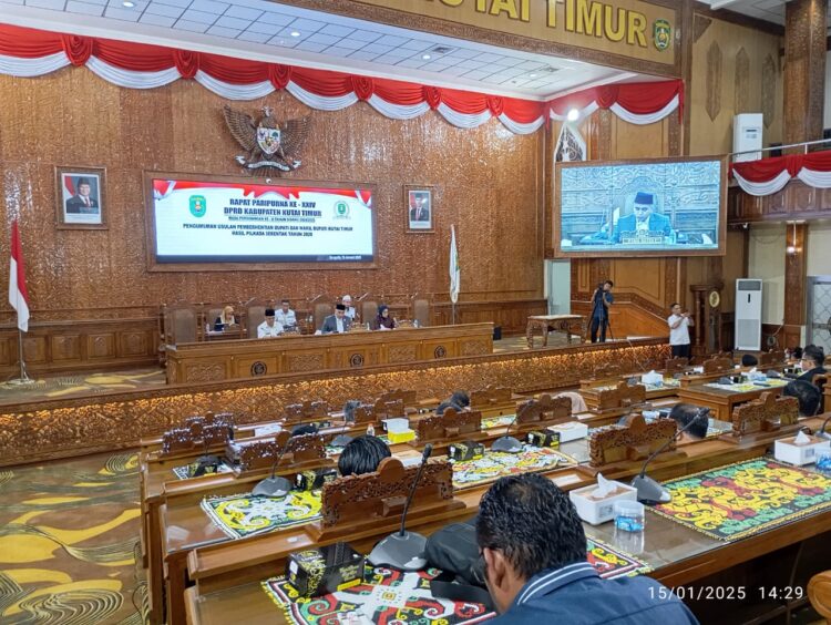 SK Pembentukan Panja PT APE Belum Ditandatangani, Legislator NasDem Bilang Begini
