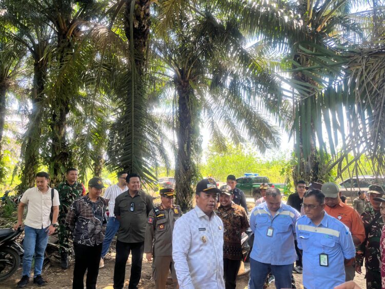 Pengganti Jembatan Tundano: Dibangun dengan Ikatan Harapan dan Solidaritas