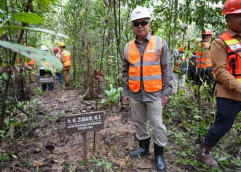 Menanam Ulin, Menanam Harapan: Komitmen Hijau Kutim di Lahan Tambang