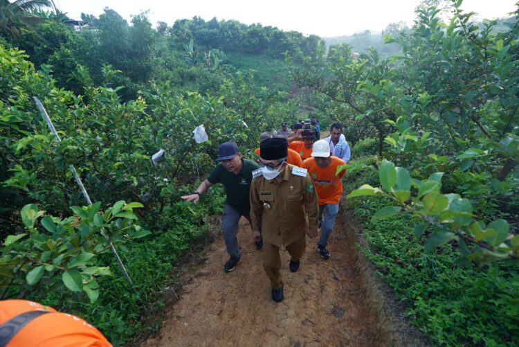 Padi Terapung: Inovasi Pertanian Kutim, Solusi Lahan Basah dan Ketahanan Pangan