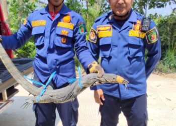 Damkar Kutim: Melayani Masyarakat Kapan Saja dan Apa Saja