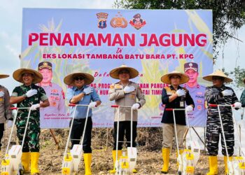 Dari Tambang Tumbuh Jagung, Komitmen Polres Kutim dan KPC untuk Ketahanan Pangan