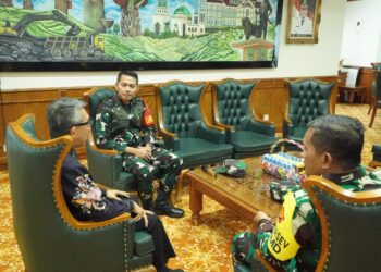 Seiring Jalan Pertahanan dan Pembangunan: Menyatunya Pemerintah dan TNI