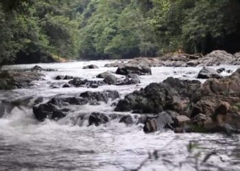 Seleq Segum, Destinasi Alam Andalan Desa Miau Baru yang Dorong Ekonomi dan Kesadaran Lingkungan