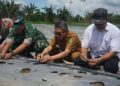 Tanam 6.000 Bibit Melon, Teluk Pandan Siap Jadi Sentra Hortikultura